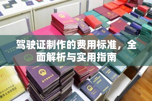 滨州驾驶证制作的费用标准，全面解析与实用指南