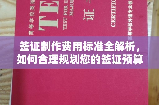 滨州签证制作费用标准全解析，如何合理规划您的签证预算？